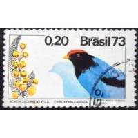 1973 C 0781 Acácia e Tangará U