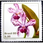 1980 C 1162 Catleya N