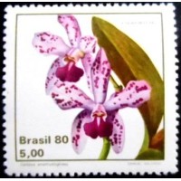 1980 C 1162 Catleya N