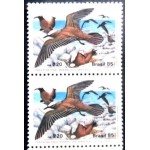 1985 C 1463 Mergulhão M PR 1985 C 1463 Mergulhão M PR