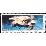 1987 C 1549 Tartaruga de Pente U