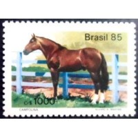1985 Campolina