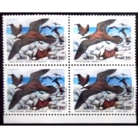 1985 BR C 1463 Benedito M QD