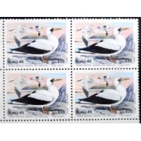 1985 BR C 1462 Atoba M QD