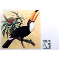 1983 BR CP Tucanuçu