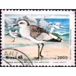 1985 C 1464 Batuiruçu U 1985 C 1464 Batuiruçu U