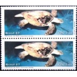 1987 C 1549 Tartaruga de Pente M PR