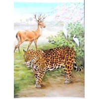 1984 BR CP Ave e Onça