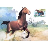 1985 MAX 107  Campolina 24720