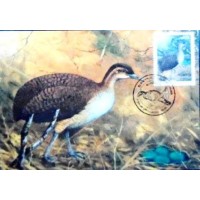 1995 MAX 193 Macuco 10269