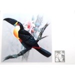 1983 BR CP Tucano Bicopreto 1983 BR CP Tucano Bicopreto
