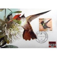 1981 MAX 65 Topetinho Vermelho 1891