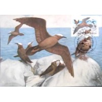 1985 MAX 118  Benedito 17385