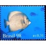 1998 C 2095 Peixe Amarelo M