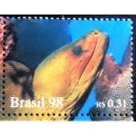 1998 C 2107 Moray M 1998 C 2107 Moray M