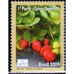 2009 C 2830 Morango M 2009 C 2830 Morango M