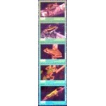 2021 C 4005 Anuros M SET