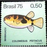 1975 C 0888 Mamaiacu M