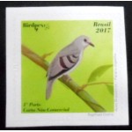 2017 C 3694 Pararu espelho M 2017 C 3694 Pararu espelho M