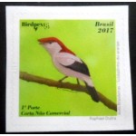2017 C 3696 Soldadinho do Araripe M 2017 C 3696 Soldadinho do Araripe M