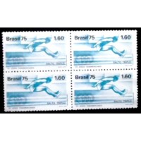 1975 BR C 0919 Salto Triplo M QD