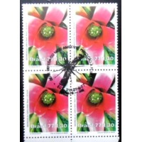 1977 C 1006 Neoregelia Carolinae MCC QD