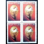 1977 C 0993 Strombus Goliath M QD