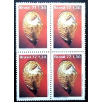 1977 C 0993 Strombus Goliath M QD