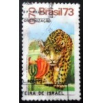1973 C 0826 Onça e Espatódea NCC