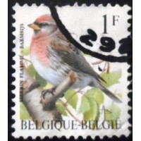 1995 Common Redpoll 1995 Common Redpoll