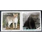 2012 C 3218 Jaguatirica e Gato mourisco M SET 2012 C 3218 Jaguatirica e Gato mourisco M SET