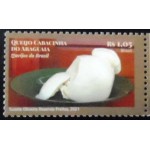 2021 C 3996 Queijo Cabacinha do Araguaia M