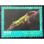 2021 C 4009 Pithecopus Hypochondrialis U