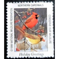 1999 NWF Northern Cardinals N
