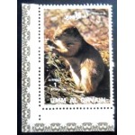 1972 Blacktailed Prairie Dog