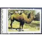 1972 Bactrian Camel