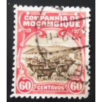 1923 Cattle Breeding 60