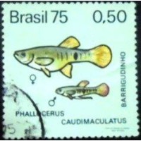 1975 C 0889 Barrigudinho U