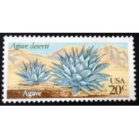 1981 U Desert Plants:Agave 1518 N