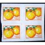 1998 BR R 0749 Laranjas M QD