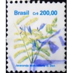 1991 R 0684  Jacaranda mimosifolia B U