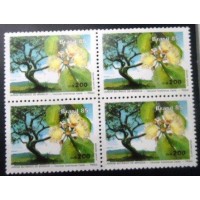 1985 BR C 1441 Pequi M QD