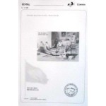 1988 Edital 013 Brasiliana 89 B 076 S 15430 NS 