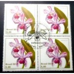 1980 C 1162 Catleya MCC QD 1980 C 1162 Catleya MCC QD