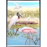 1984 BR CP Jaburu e Jacaré