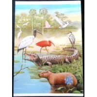 1984 BR CP Capivara e Jacaré