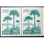 1967 CL 0663 Araucaria M PR 1967 CL 0663 Araucaria M PR