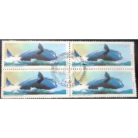 1987 BR C 1550 Baleia Franca NCC QD