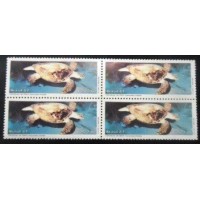 1987 BR C 1549 TartarugadePente M QD