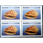 1989 C 1646 Morum Matthewsi M QD 1989 C 1646 Morum Matthewsi M QD